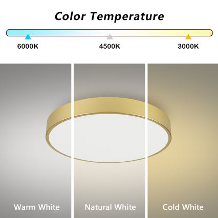 Brilagi - Candeeiro de tecto LED POOL LED/60W/230V 3000/4500/6000K diâmetro 60 cm dourado