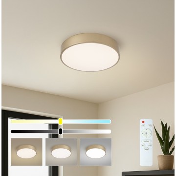 Brilagi - Candeeiro de tecto LED regulável POOL LED/36W/230V 3000-6000K Ø 30 cm dourado + comando à distância