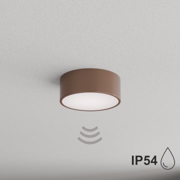 Brilagi - Candeeiro de tecto para casa de banho com sensor de movimento e sensor crepuscular CLARE 1xE27/24W/230V Ø 20 cm castanho IP54