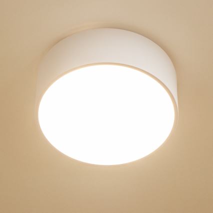 Brilagi - Candeeiro de tecto para casa de banho POOL 2xE27/15W/230V Ø 30 cm IP54 branco
