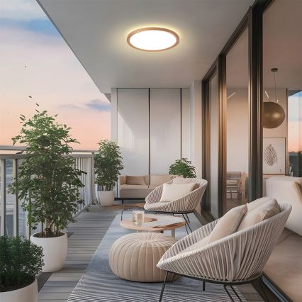 Brilagi - Plafon de casa de banho ULTRA SLIM LED/24W/230V Ø 42 cm ouro rosé IP54