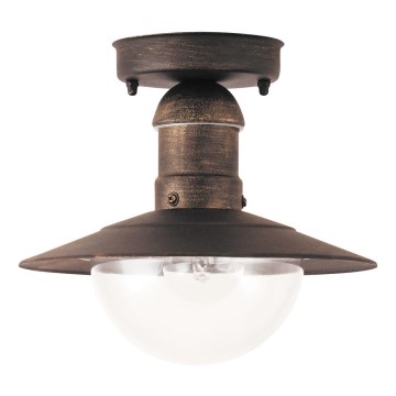 Brilagi - Candeeiro de tecto para exterior MOLDE 1xE27/60W IP44 bronze/pátina
