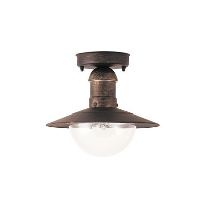 Brilagi - Candeeiro de tecto para exterior MOLDE 1xE27/60W IP44 bronze/pátina