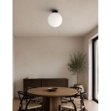 BRILAGI - Candeeiro de tecto POLOS 1xE27/40W/230V Ø 30 cm preto