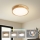 Brilagi - Candeeiro de tecto WOODLINE LED/24W/230V 3000/4000/6000K carvalho, diâmetro 30 cm