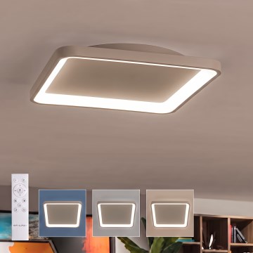 BRILAGI - Candeeiro de teto dimável FALCON SLIM LED/50W/230V 3000-6500K 50x50 cm bege + controlo remoto