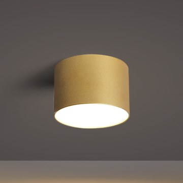 BRILAGI - Candeeiro de teto exterior FORIS LED/9W/230V diâmetro 9 cm dourado IP44