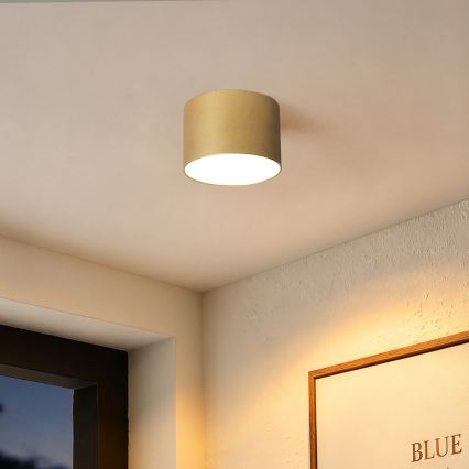 BRILAGI - Candeeiro de teto exterior FORIS LED/9W/230V diâmetro 9 cm dourado IP44