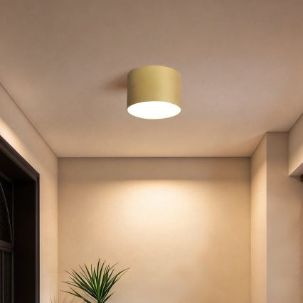 BRILAGI - Candeeiro de teto exterior FORIS LED/9W/230V diâmetro 9 cm dourado IP44