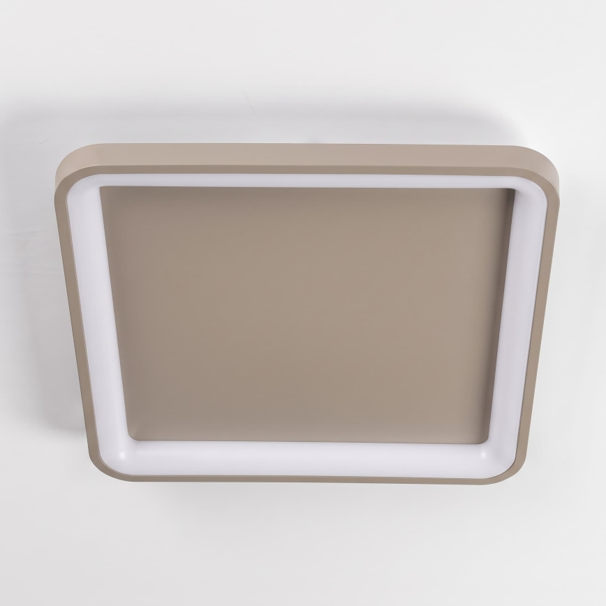 BRILAGI - Candeeiro de teto dimável FALCON SLIM LED/50W/230V 3000-6500K 50x50 cm bege + controlo remoto