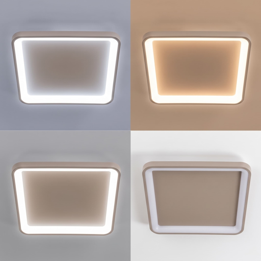 BRILAGI - Candeeiro de teto dimável FALCON SLIM LED/50W/230V 3000-6500K 50x50 cm bege + controlo remoto