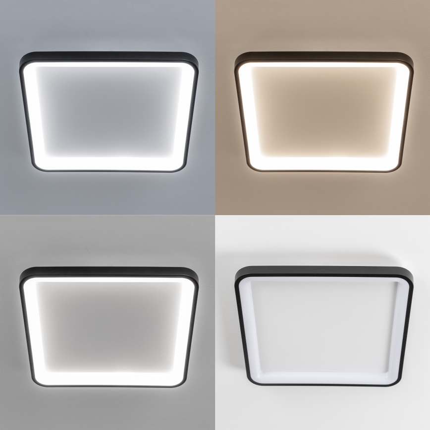 Brilagi - Candeeiro de tecto LED dimável FALCON SLIM LED/50W/230V 3000-6500K 50x50 cm preto + controlo remoto