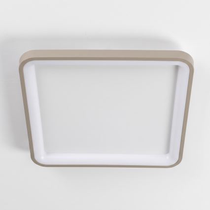 BRILAGI - Candeeiro de tecto LED dimerizável FALCON SLIM LED/50W/230V 3000-6500K 50x50 cm branco/bege + controlo remoto