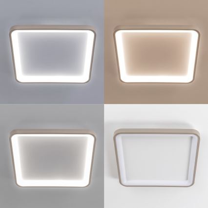 BRILAGI - Candeeiro de tecto LED dimerizável FALCON SLIM LED/50W/230V 3000-6500K 50x50 cm branco/bege + controlo remoto