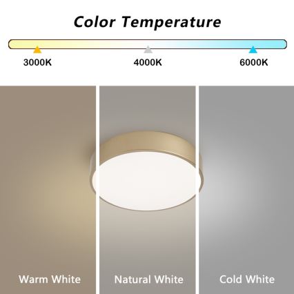 BRILAGI - Plafon LED regulável POOL LED/24W/230V 3000-6000K diâmetro 20 cm dourado + comando remoto