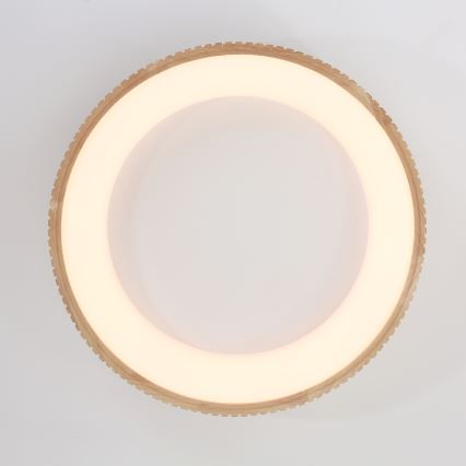 Brilagi - Candeeiro de teto LED FALCON WOOD MODERN LED/40W/230V 3000/4000/6000K Ø 60 cm em madeira