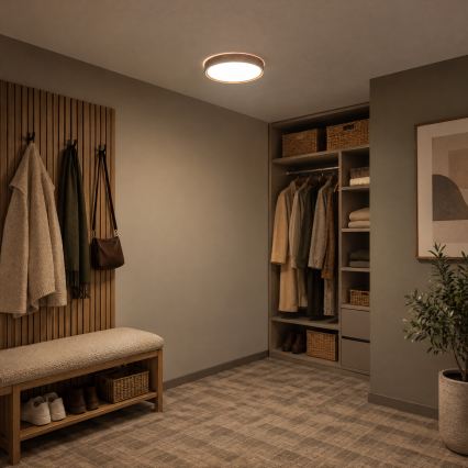 BRILAGI - Candeeiro de teto LED NATURA LED/20W/230V 4000K Ø 33,7 cm