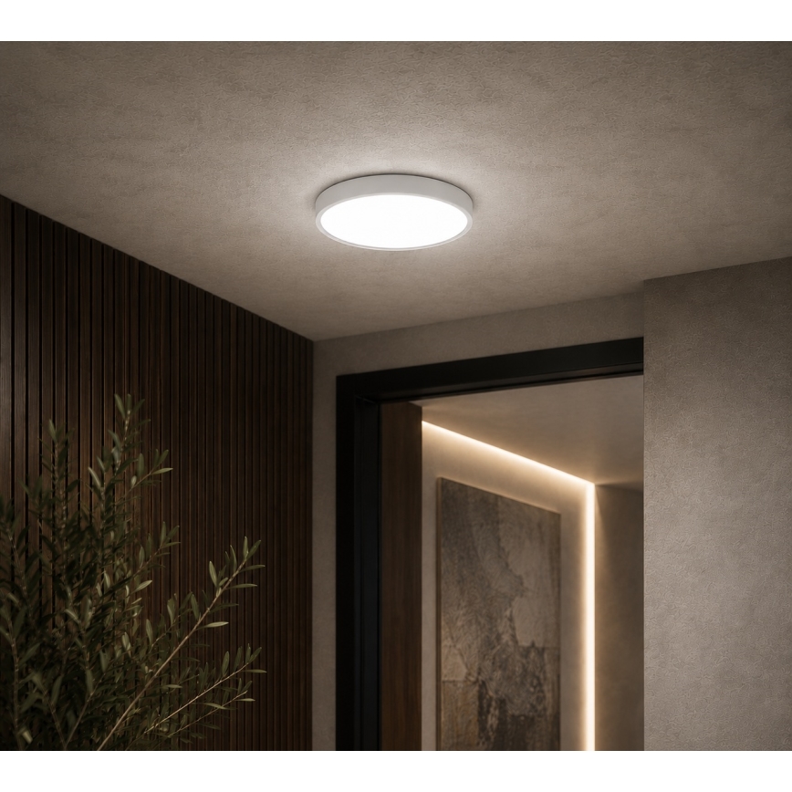 BRILAGI - Candeeiro de teto LED para casa de banho ZENNA LED/12W/230V Ø 25 cm IP44 branco