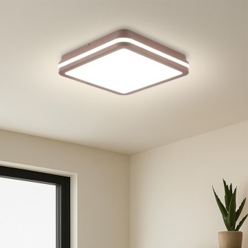 Brilagi - Candeeiro de teto LED para exterior com sensor BENE LED/24W/230V 26x26 cm castanho IP54