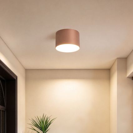 BRILAGI - Candeeiro de teto para exterior FORIS LED/9W/230V Ø 9 cm bronze IP44