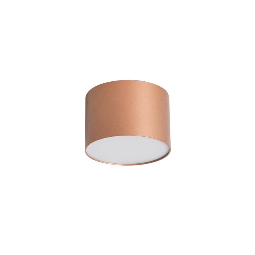BRILAGI - Candeeiro de teto para exterior FORIS LED/9W/230V Ø 9 cm bronze IP44