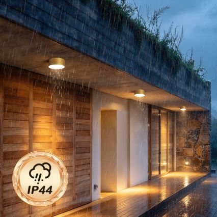 BRILAGI - Candeeiro de teto para exterior LED FORIS LED/20W/230V Ø 15 cm dourado IP44