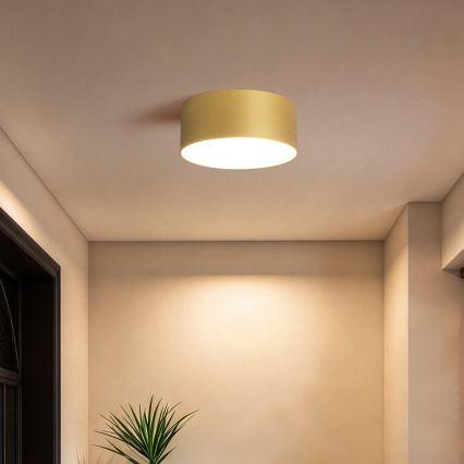 BRILAGI - Candeeiro de teto para exterior LED FORIS LED/20W/230V Ø 15 cm dourado IP44
