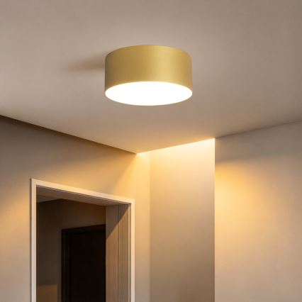 BRILAGI - Candeeiro de teto para exterior LED FORIS LED/20W/230V Ø 15 cm dourado IP44