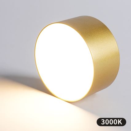 BRILAGI - Candeeiro de teto para exterior LED FORIS LED/20W/230V Ø 15 cm dourado IP44
