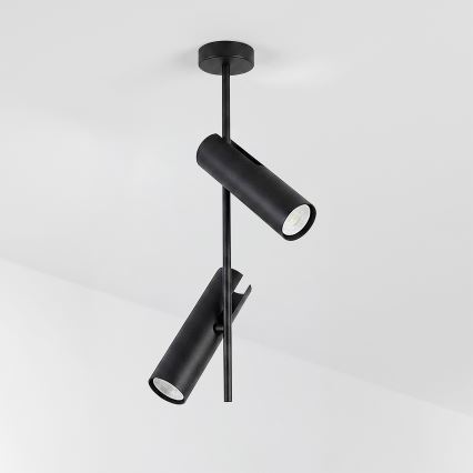 Brilagi - Candeeiro em haste BRANCH 2xGU10/30W/230V preto