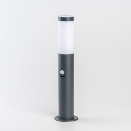 BRILAGI - Candeeiro de exterior com sensor ELIA 1xE27/20W/230V IP44 50 cm antracite
