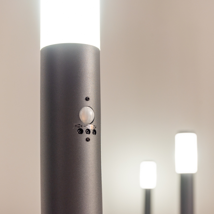 BRILAGI - Candeeiro de exterior com sensor ELIA 1xE27/20W/230V IP44 50 cm antracite