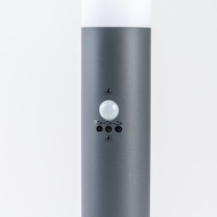 BRILAGI - Candeeiro de exterior com sensor ELIA 1xE27/20W/230V IP44 50 cm antracite