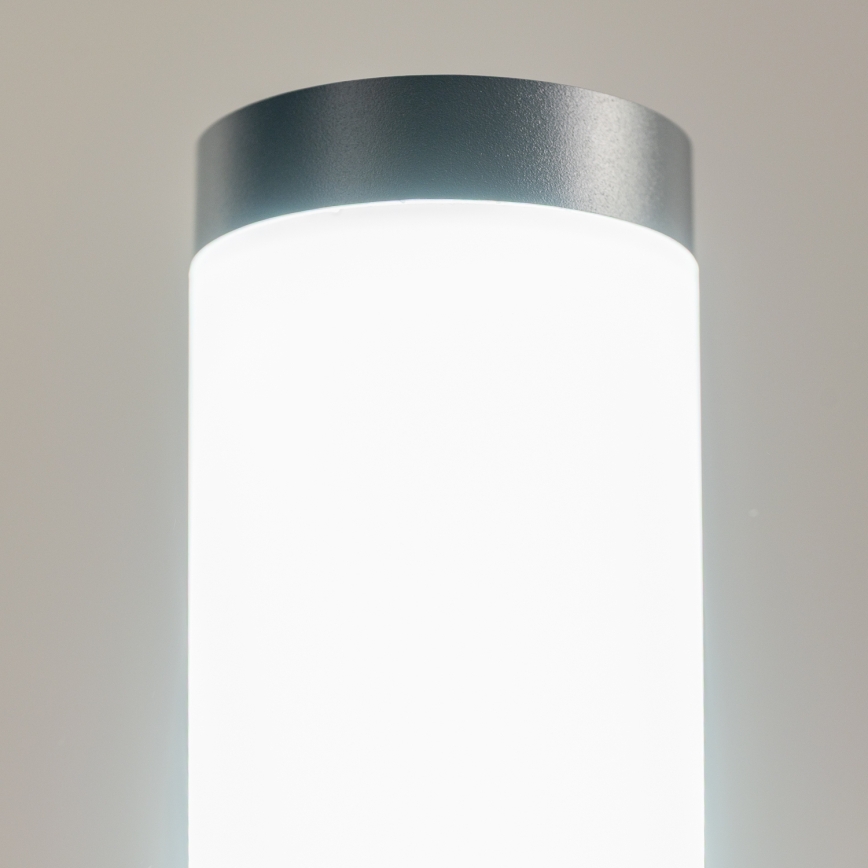 BRILAGI - Candeeiro exterior ELIA 1xE27/20W/230V IP44 100 cm antracite