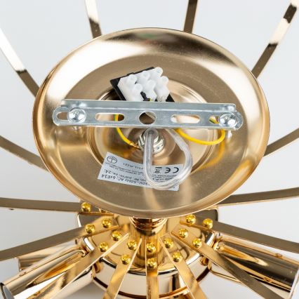 Brilagi - Candeeiro integrado CRYSTAL 6xE14/60W/230V dourado