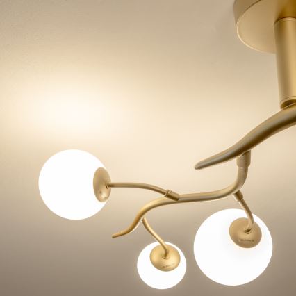 Brilagi - Candeeiro  integrado LED MISTEL 6xG9/3W/230V dourado/branco