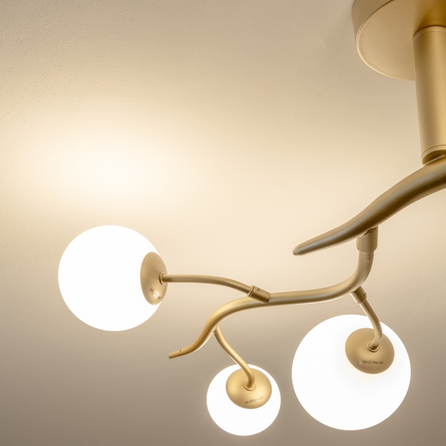 Brilagi - Candeeiro  integrado LED MISTEL 6xG9/3W/230V dourado/branco