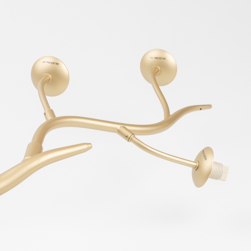 Brilagi - Candeeiro  integrado LED MISTEL 6xG9/3W/230V dourado