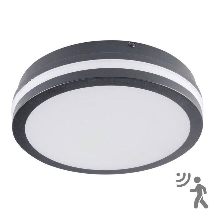 Brilagi - Luminária LED exterior BENE com sensor, 18W, 230V, diâmetro 22 cm, antracite, IP54