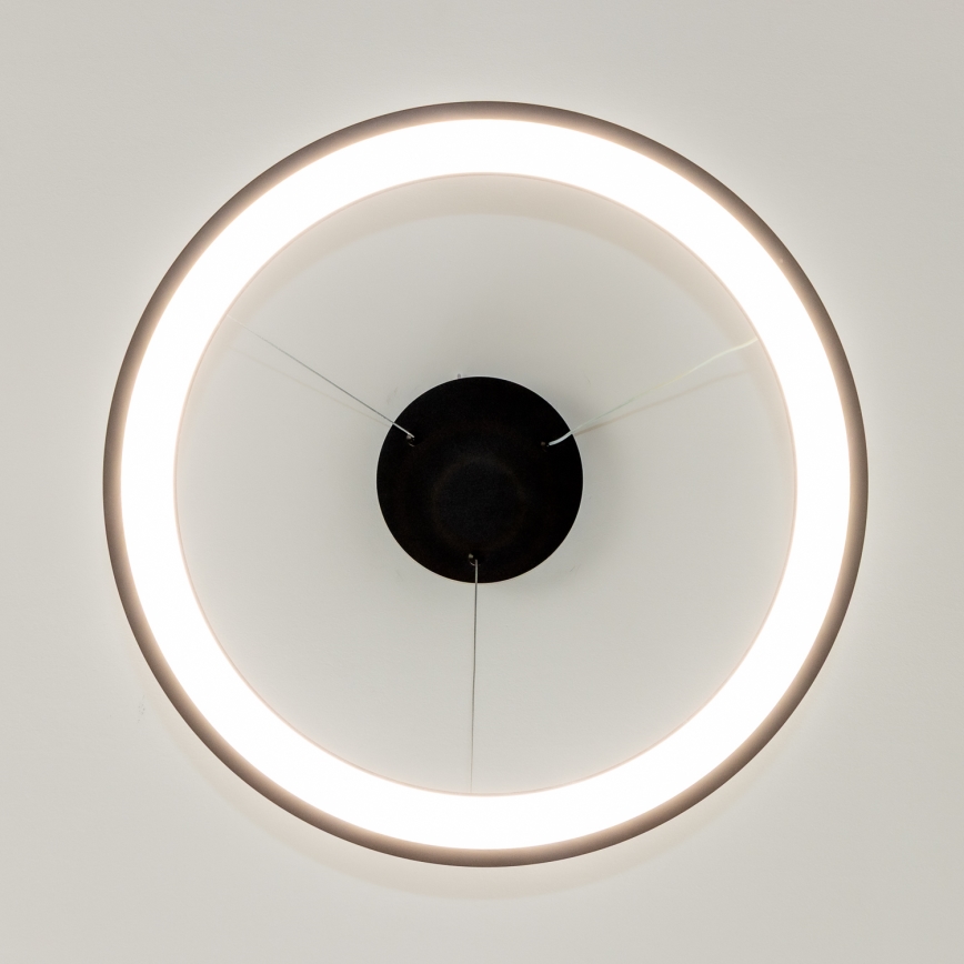 Brilagi - Lustre pendente LED dimerizável em cabo FALCON SLIM LED/42W/230V 3000-6500K diâmetro 50 cm preto + controlo remoto