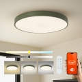 Brilagi - Candeeiro LED dimerizável POOL SMART LED/100W/230V diâmetro 80 cm 3000-6000K Wi-Fi Tuya + controlo remoto verde