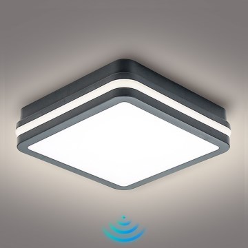 Brilagi - Candeeiro LED exterior com sensor BENE LED/18W/230V 22x22 cm antracite IP54