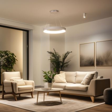 Brilagi - Lustre LED dimerizável suspenso por cabo FALCON II LED/99W/230V 3000–6500K Ø 60 cm branco + comando remoto