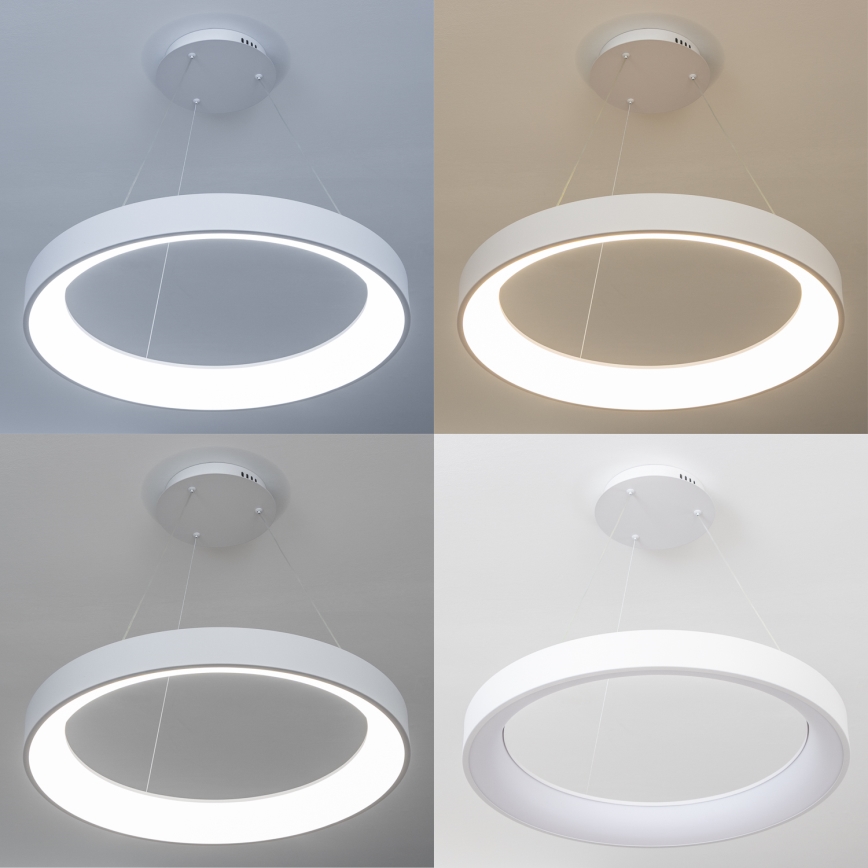Brilagi - Lustre LED dimerizável suspenso por cabo FALCON II LED/99W/230V 3000–6500K Ø 60 cm branco + comando remoto