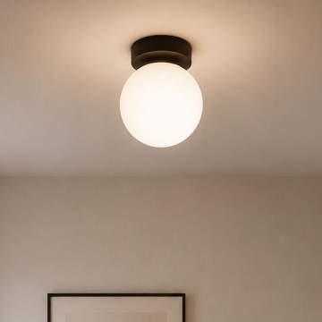 BRILAGI - Candeeiro spot MILO 1xE27/60W/230V Ø 15 cm preto