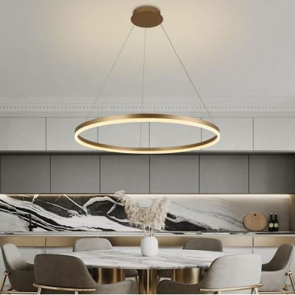 Brilagi - Candeeiro suspenso LED com regulação CIRCLE LED/55W/230V 3000-6500K dourado + comando