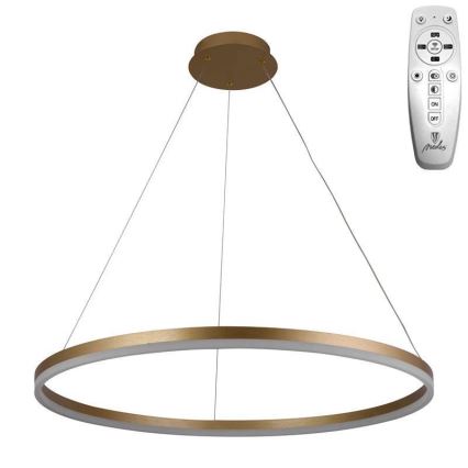 Brilagi - Candeeiro suspenso LED com regulação CIRCLE LED/55W/230V 3000-6500K dourado + comando