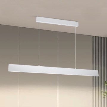 Brilagi - Candeeiro suspenso LED com regulação SLIMLINE LED/40W/230V 3000-6000K branco + comando