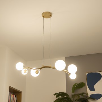 Brilagi - Candeeiro suspenso LED MISTEL 6xG9/3W/230V dourado/branco