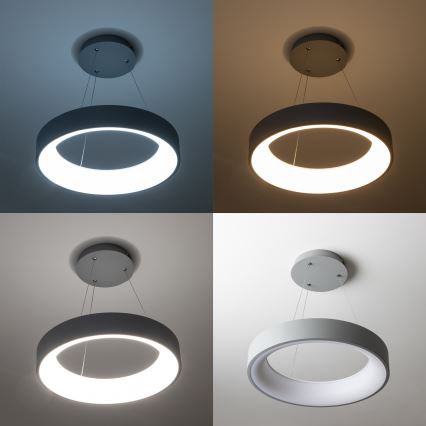 Brilagi - Candelabro suspenso LED com regulação FALCON LED/80W/230V 3000-6500K cinzento + controlo remoto